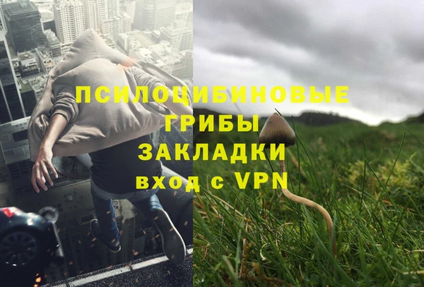 сатива Абаза