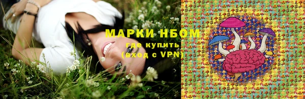 сатива Абаза
