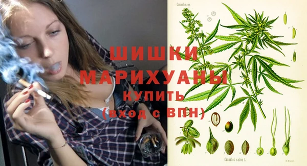 сатива Абаза